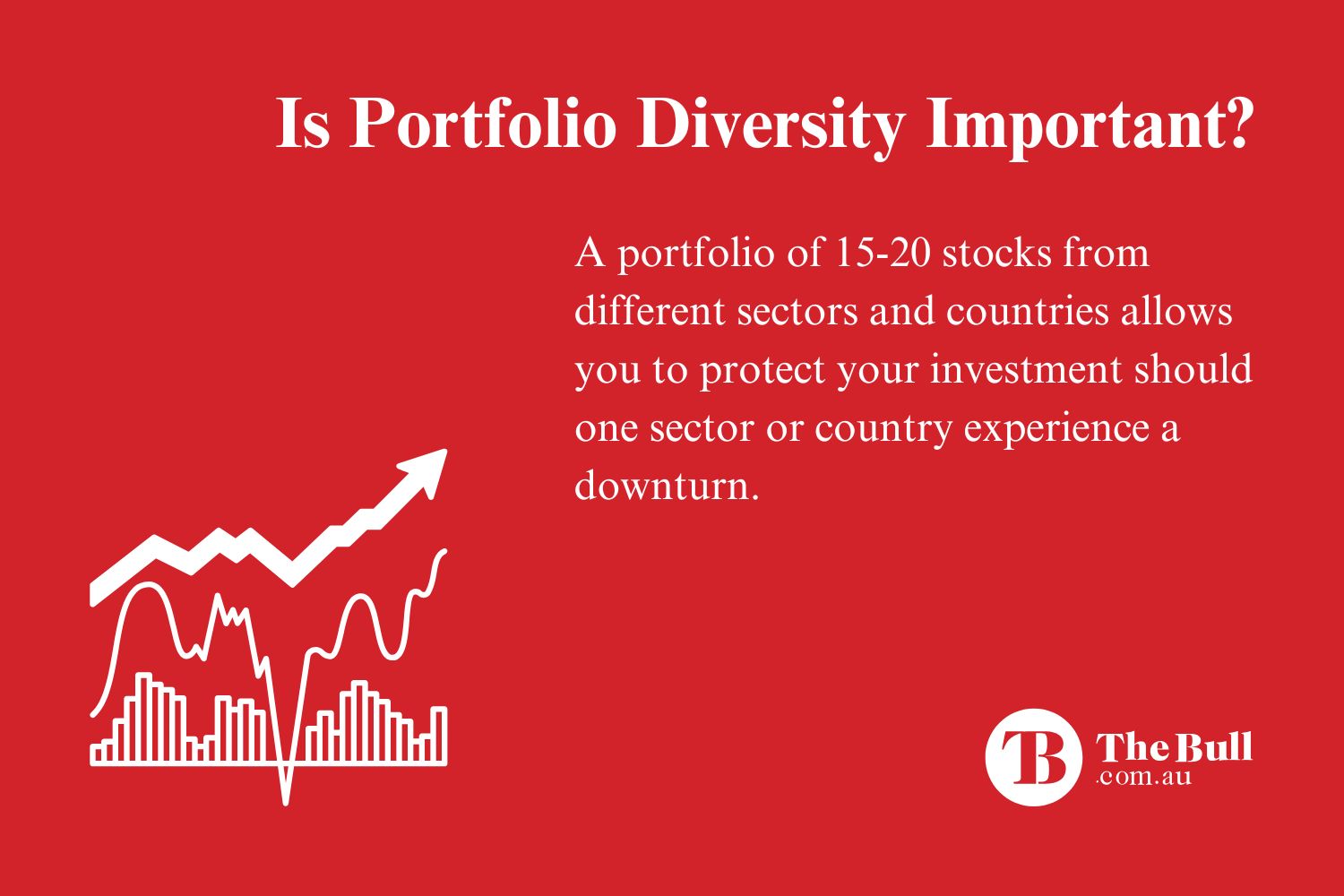 The Importance of Portfolio Diversity